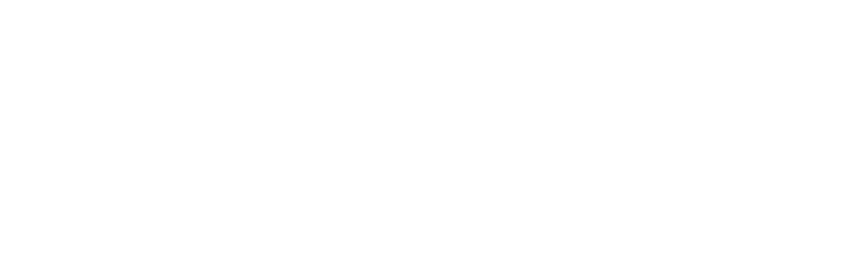 Prisma Solutions Digital Partner